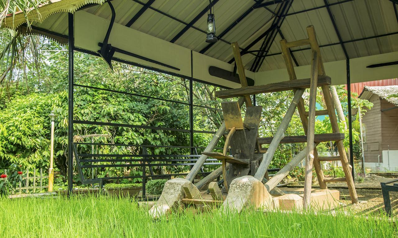 ホテル Mango Meadows コッタヤム エクステリア 写真